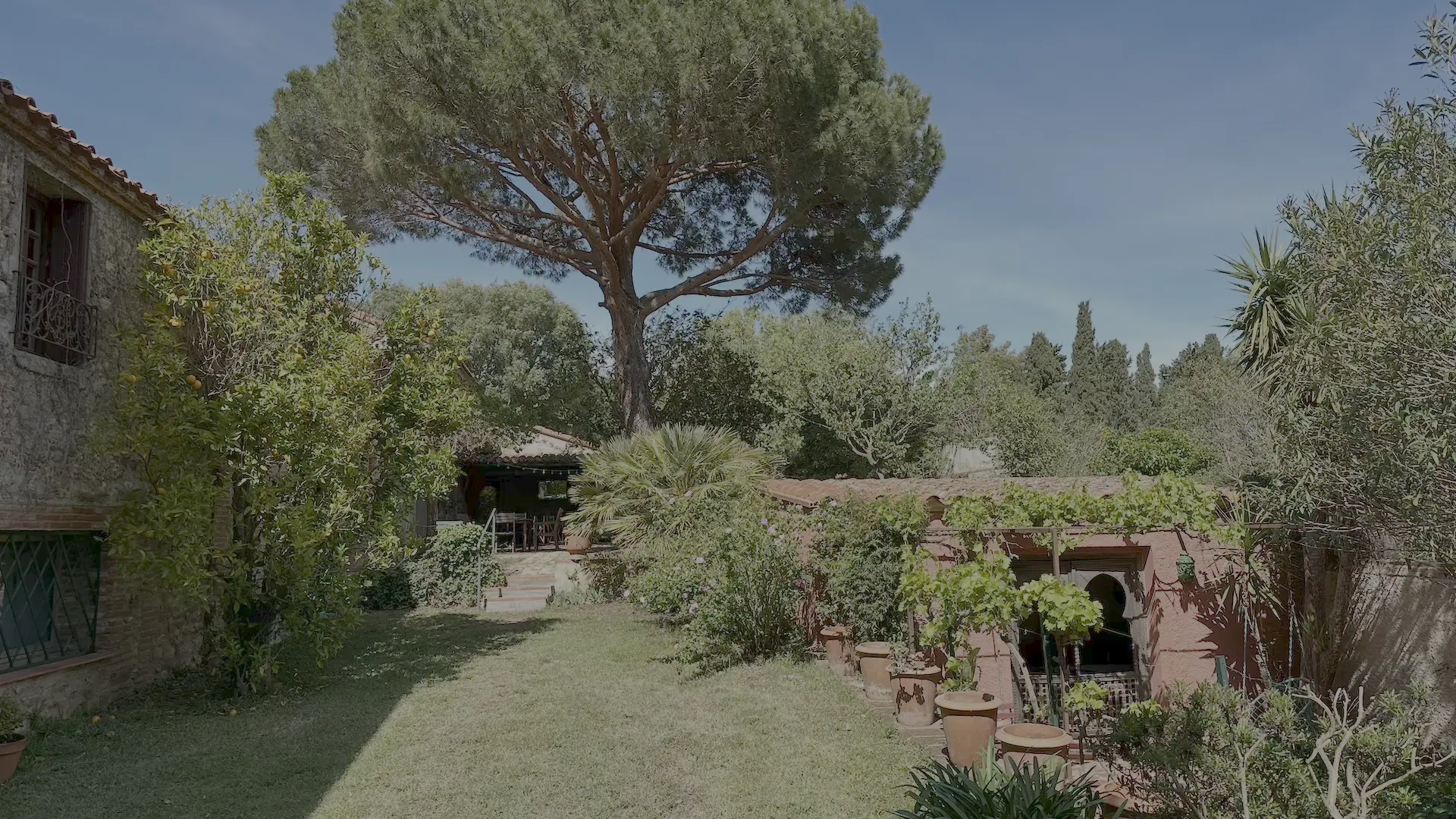 IMG_6996 (1) - copie