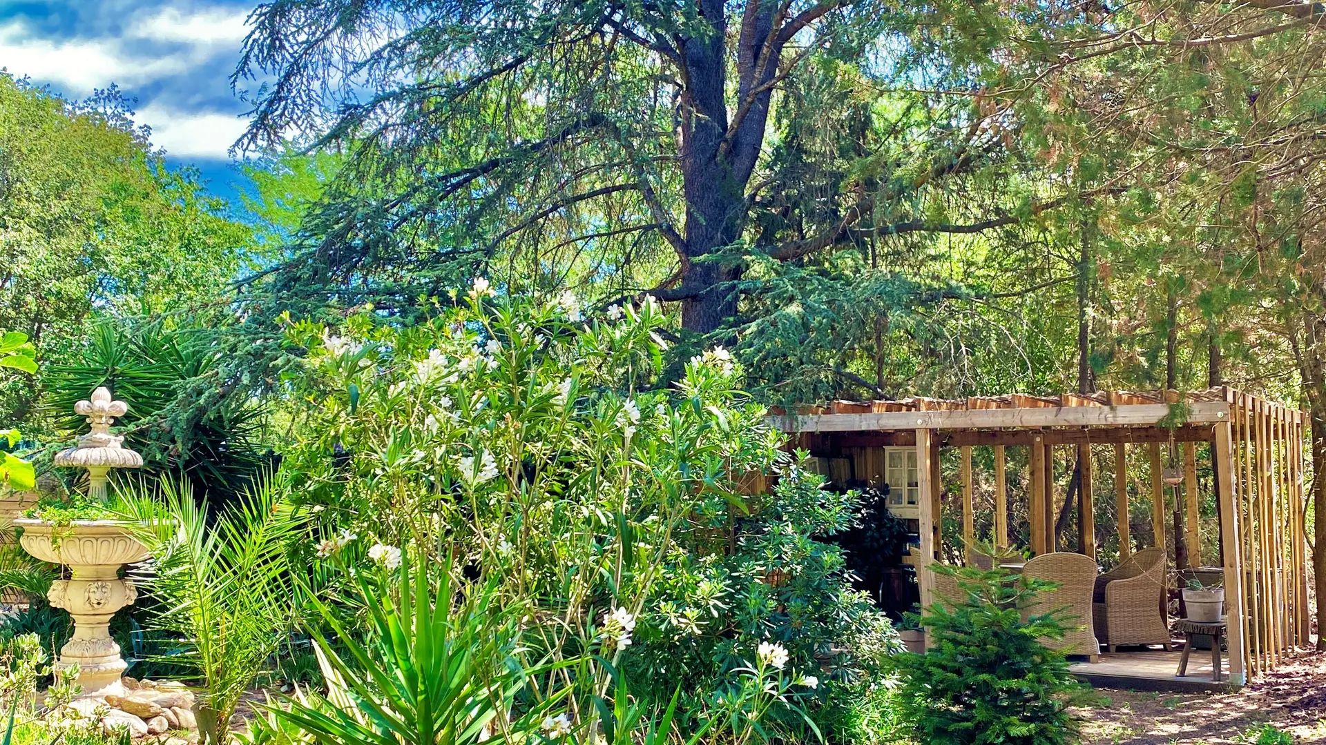 Le Chat Vert - appartements Adults Only ****, grand jardin méditerranéen