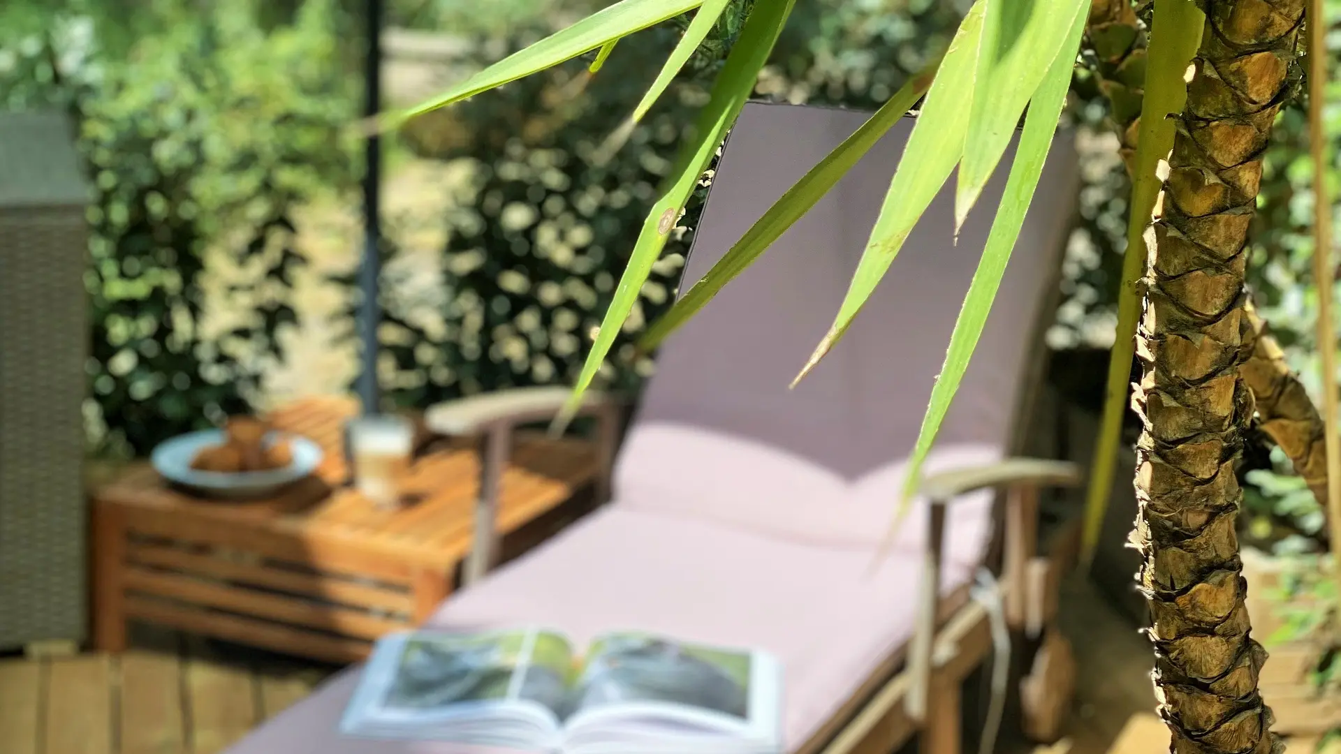 Le Chat Vert - appartements Adults Only****