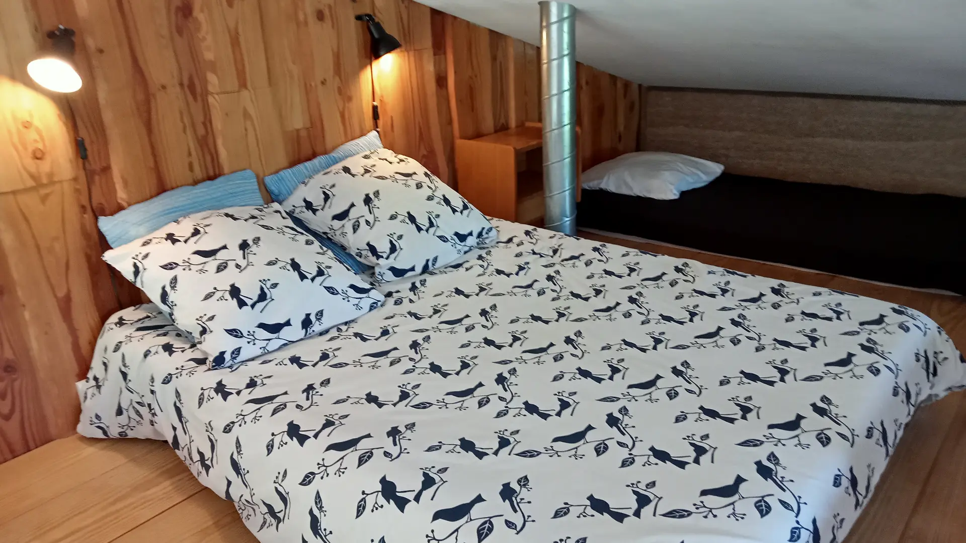 Nid d'amour en forêt