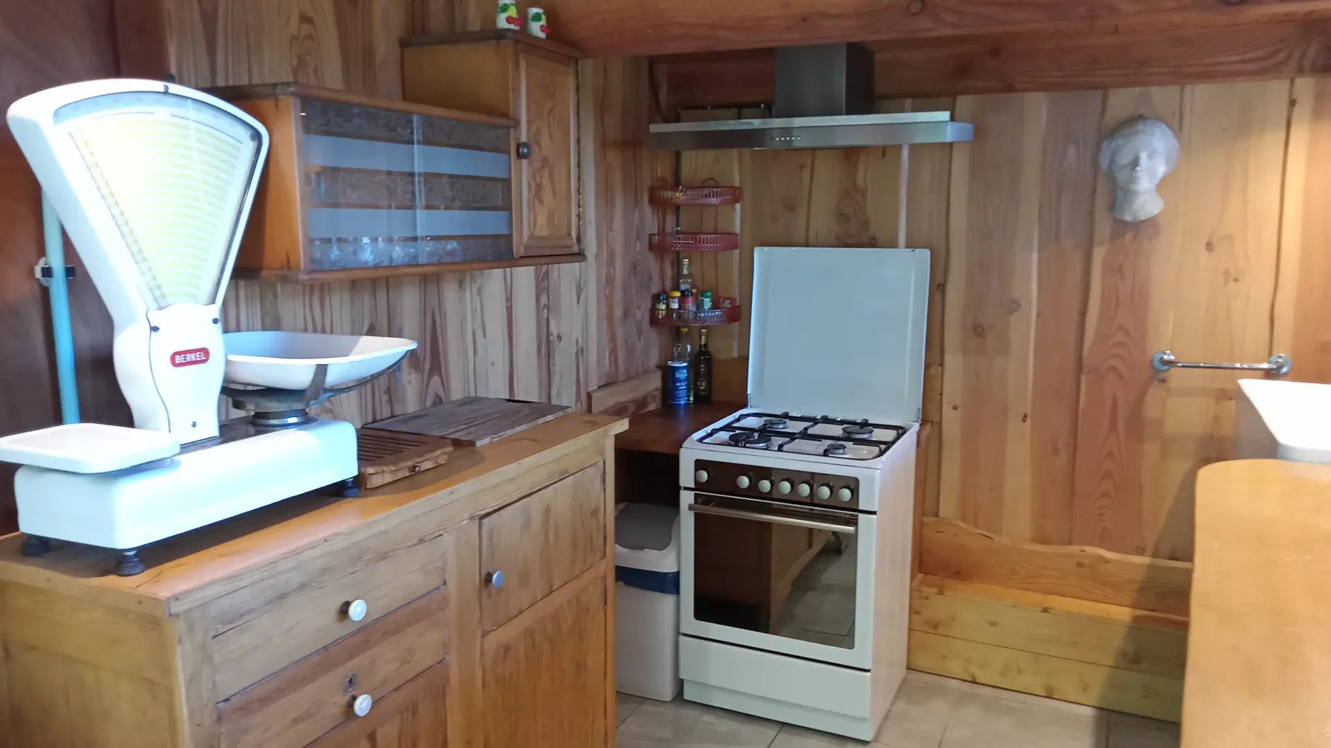 Nid d'amour en forêt