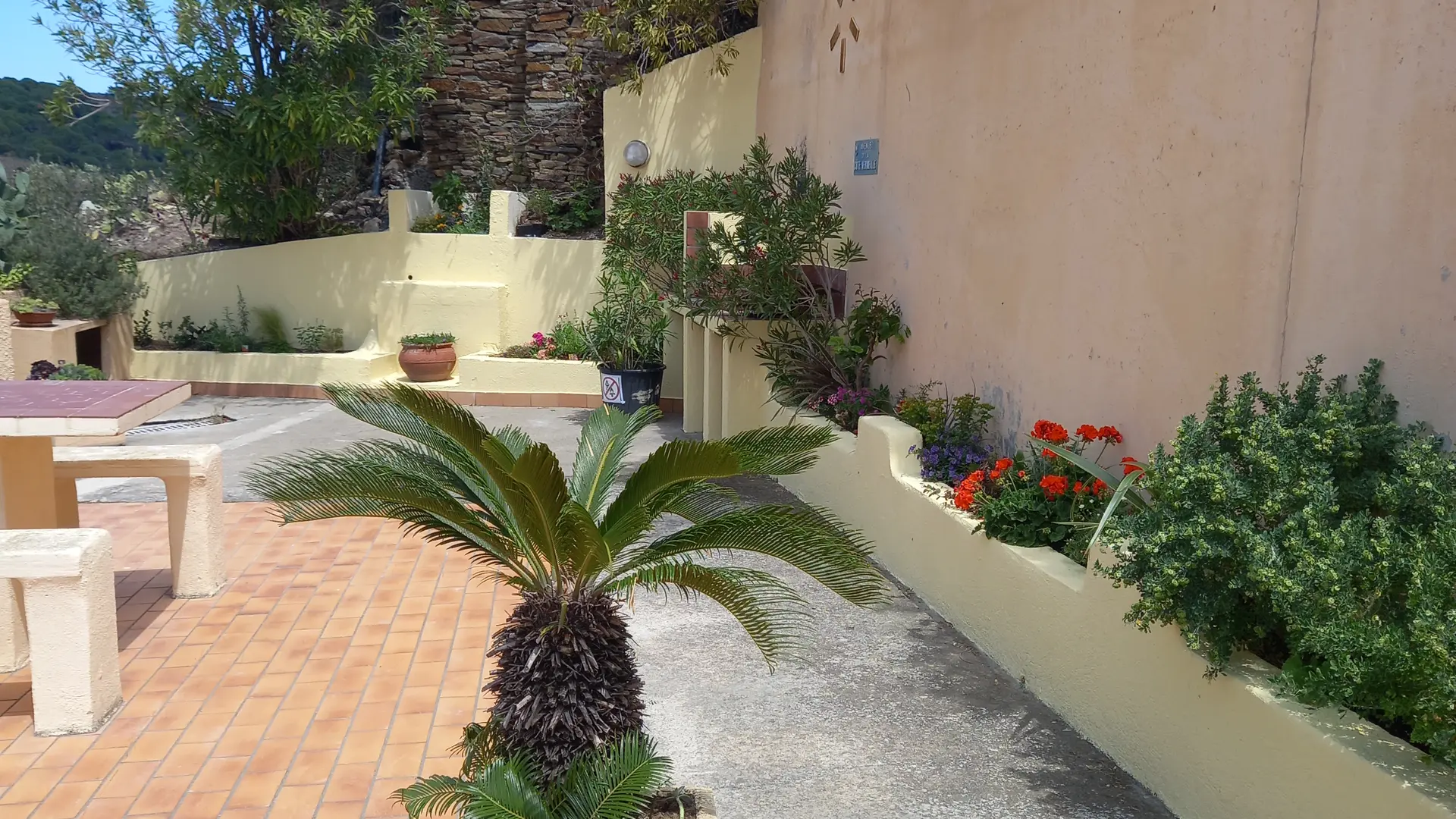 JARDINET ENTREE APPARTEMENT