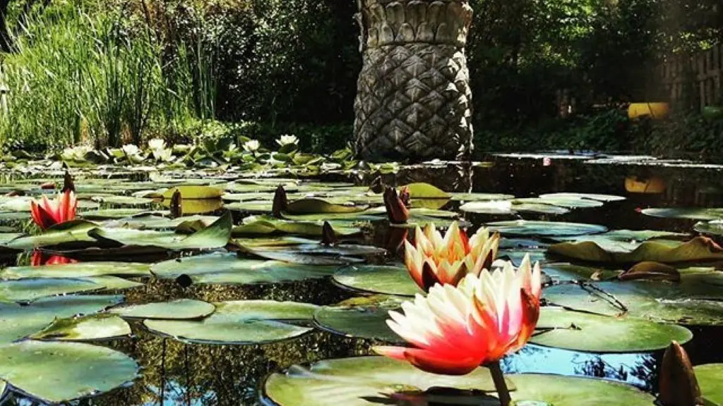 Jardin Exotique de Ponteilla (6) (002)