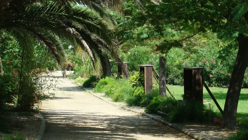 Jardin exotique de Ponteilla allée