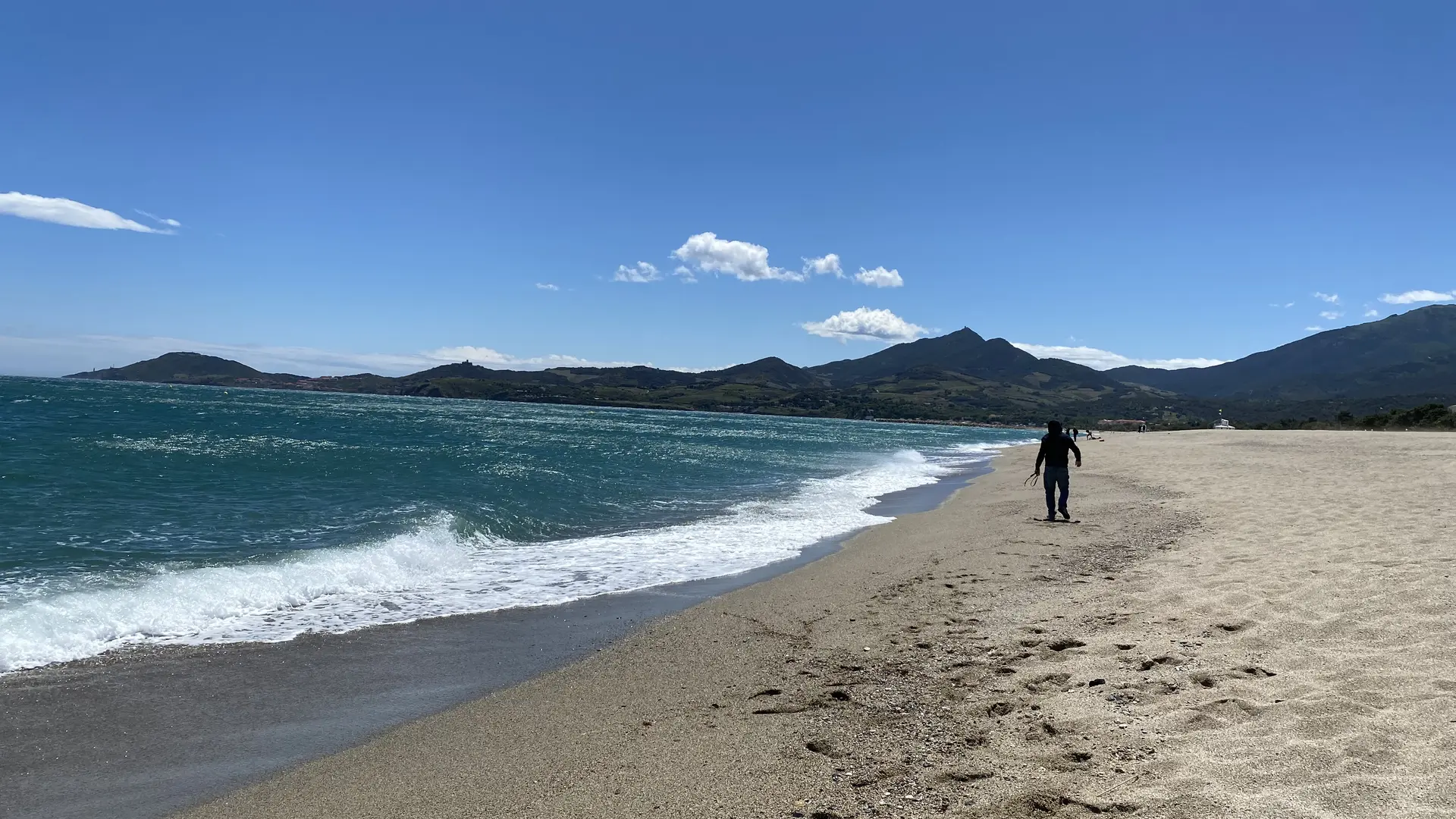 LA VAGUE DES PINS (3)