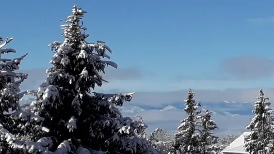 LOCATIF LADEN Eric 2019 tourinsoft