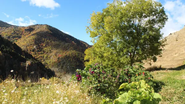 La Solana à Mantet (1)