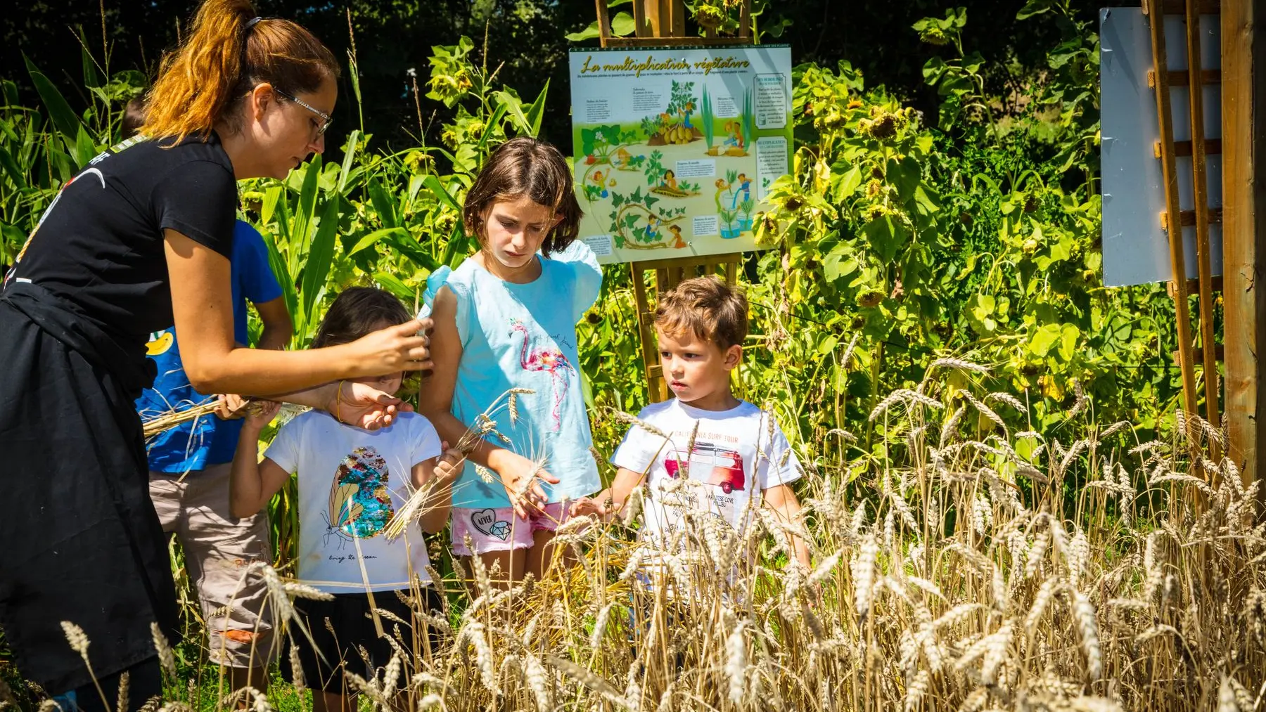 La-ferme-de-decouverte-de-Saint-Andre-Saint-Andre-16