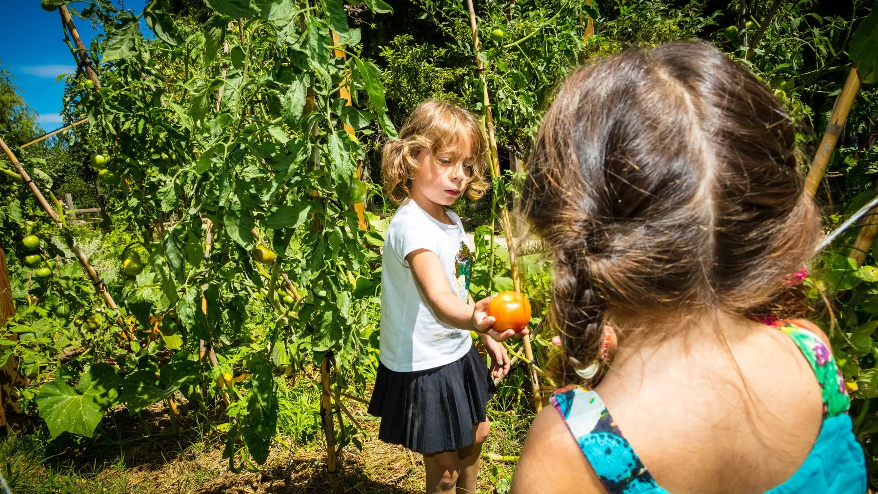 La-ferme-de-decouverte-de-Saint-Andre-Saint-Andre-19