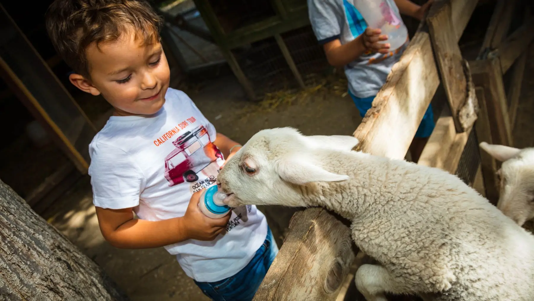 La-ferme-de-decouverte-de-Saint-Andre-Saint-Andre-13