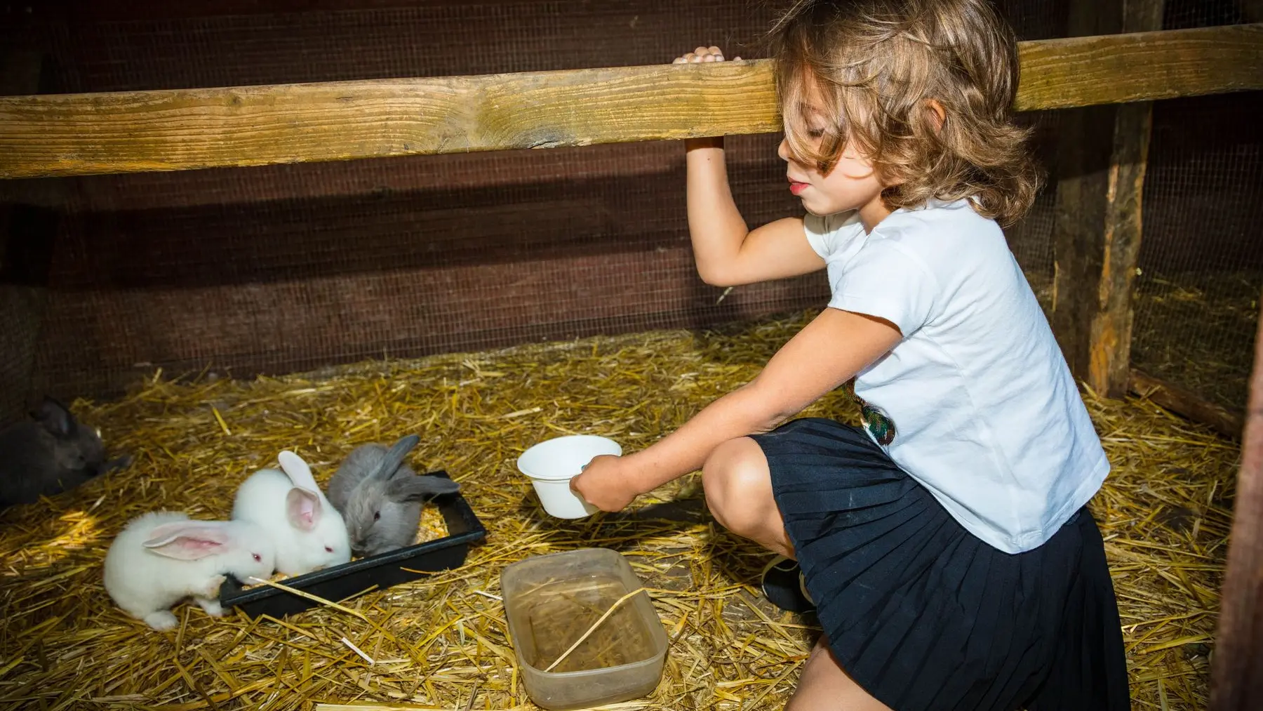 La-ferme-de-decouverte-de-Saint-Andre-Saint-Andre-2