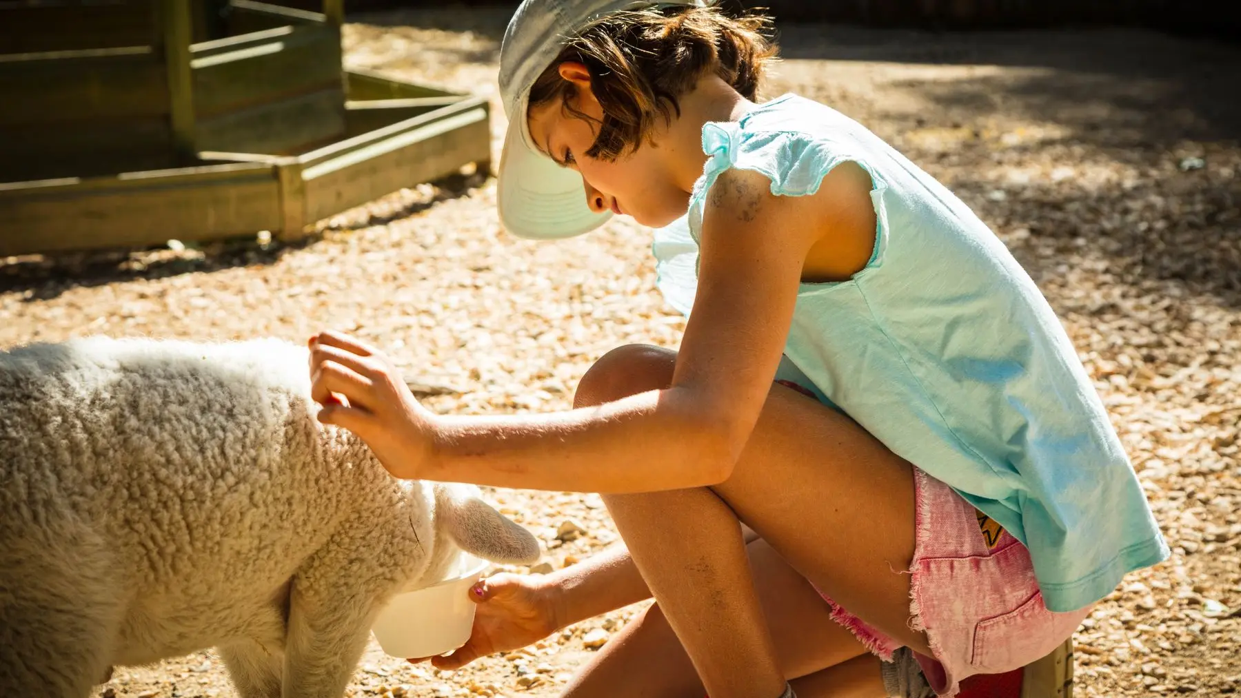 La-ferme-de-decouverte-de-Saint-Andre-Saint-Andre-4