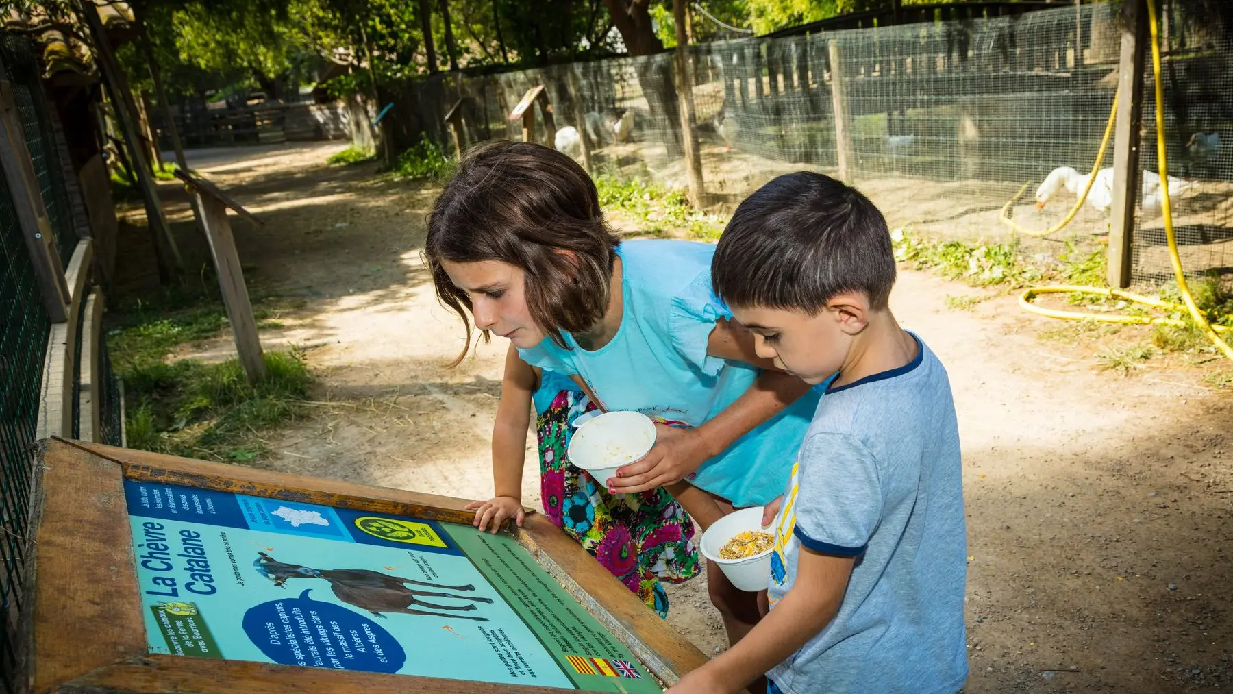 La-ferme-de-decouverte-de-Saint-Andre-Saint-Andre-6