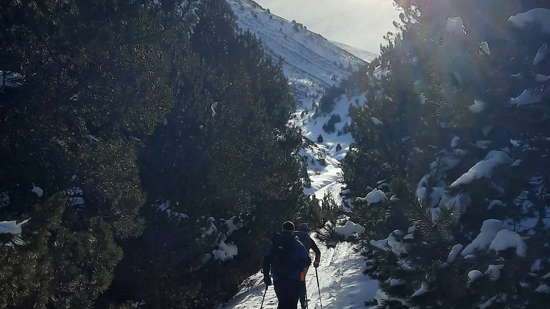 La foret de Valcebollère en direction de la chapelle - format carré
