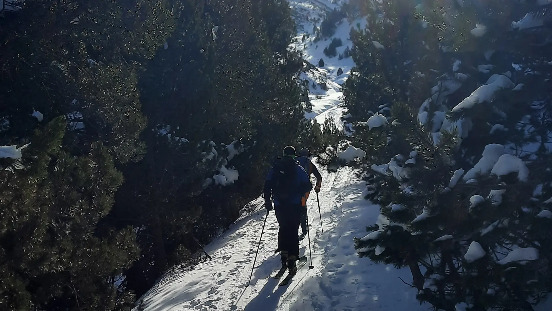 La foret de Valcebollère en direction de la chapelle