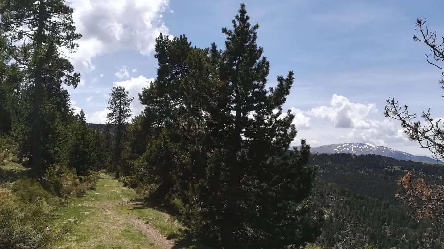 La marche des contrebandiers