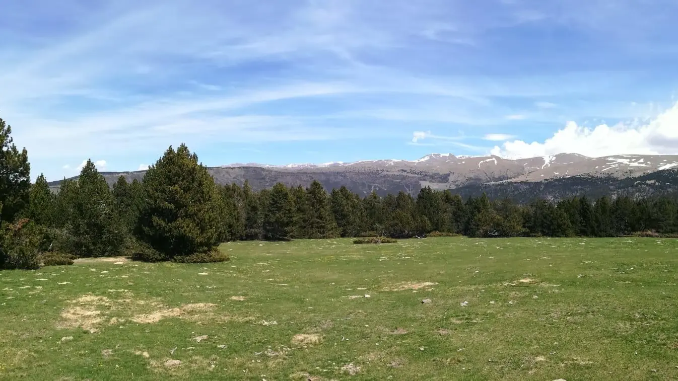 La marche des contrebandiers