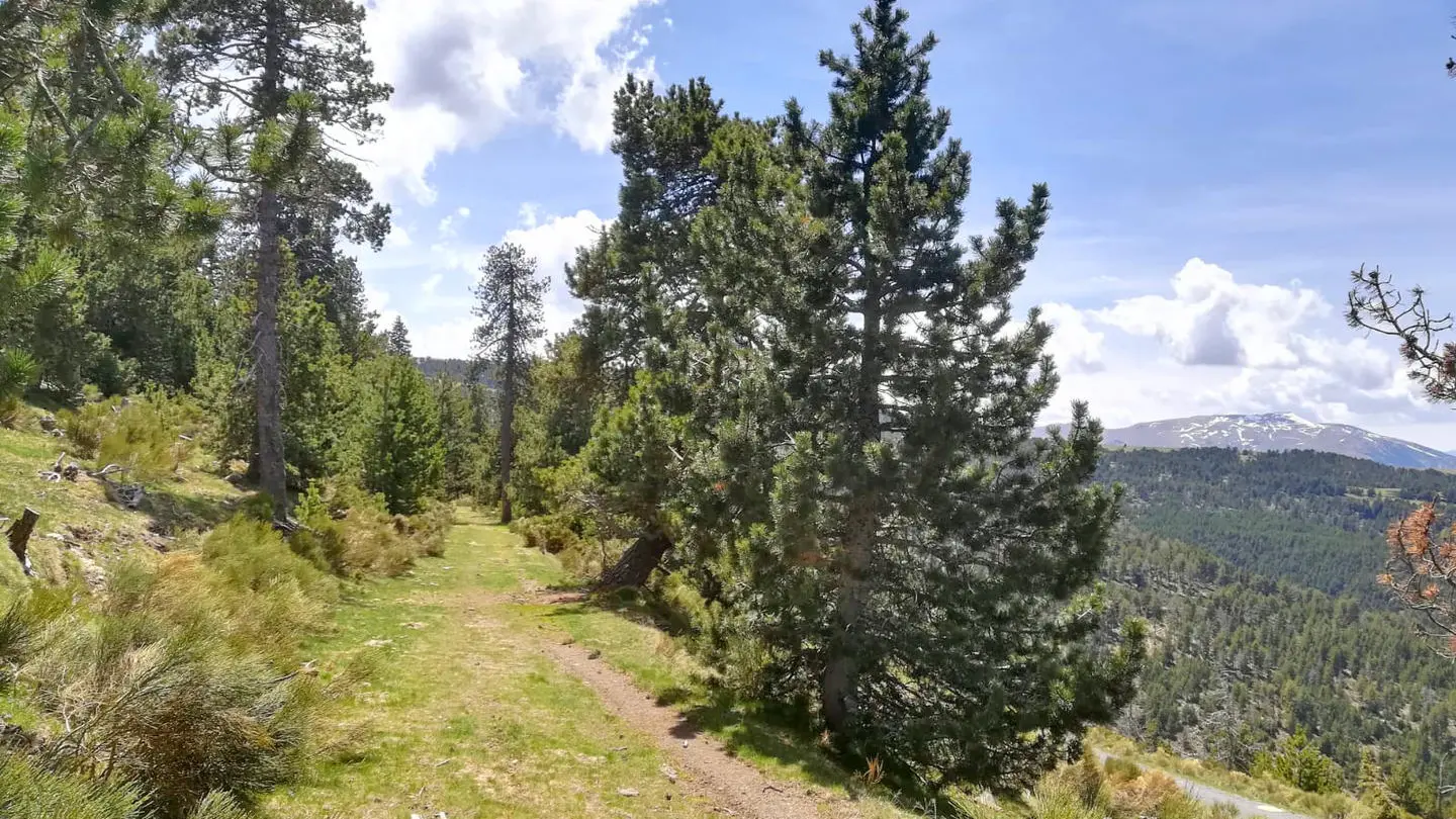 La marche des contrebandiers