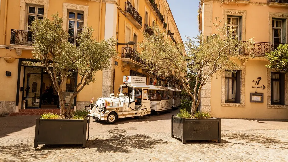 Le Petit Train Touristique 2