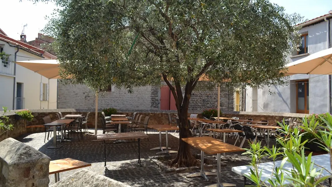 Le-Square-terrasse-ille-sur-tet-web