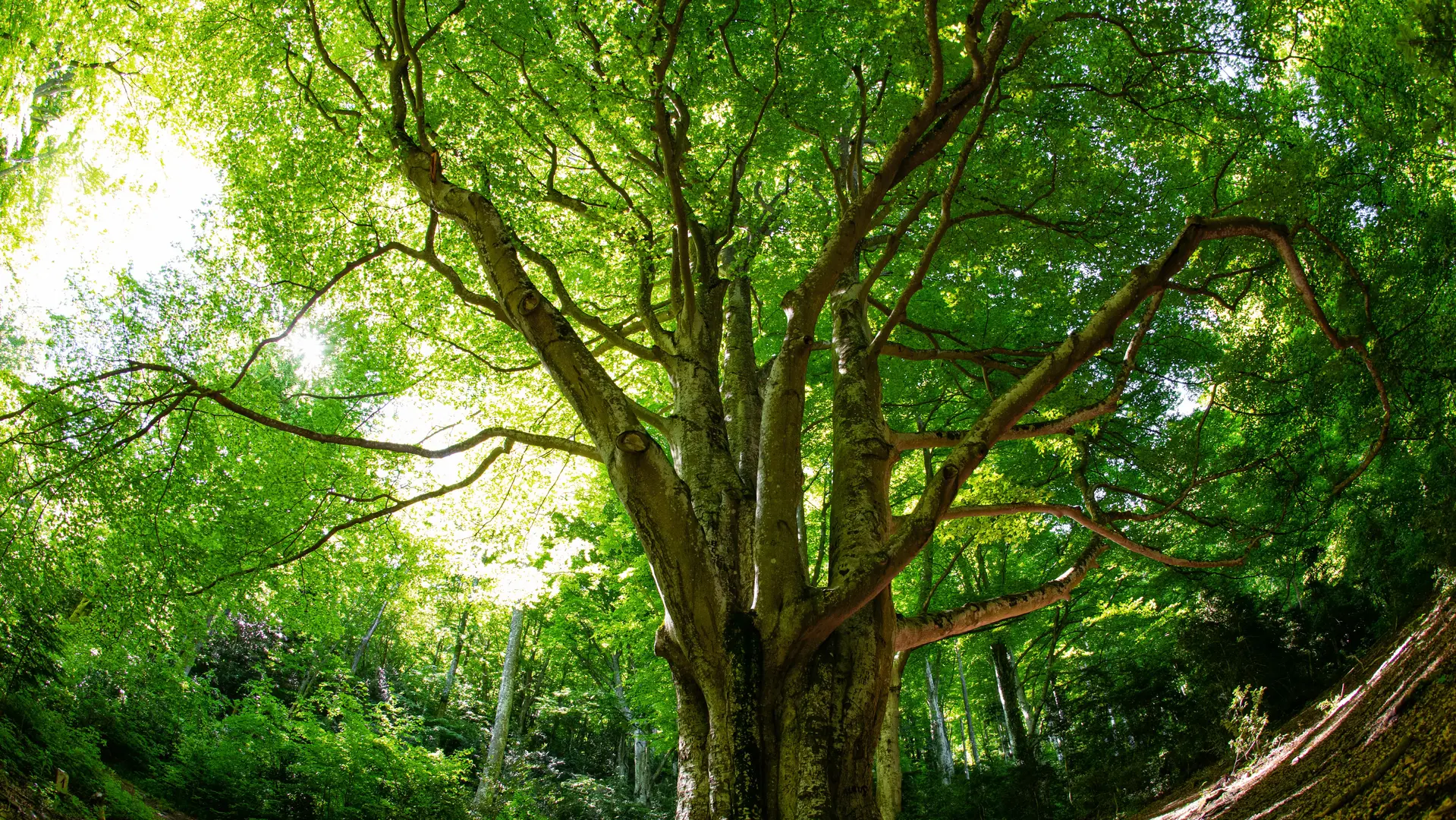 Reportage CC Agly Fenoillèdes 2019
