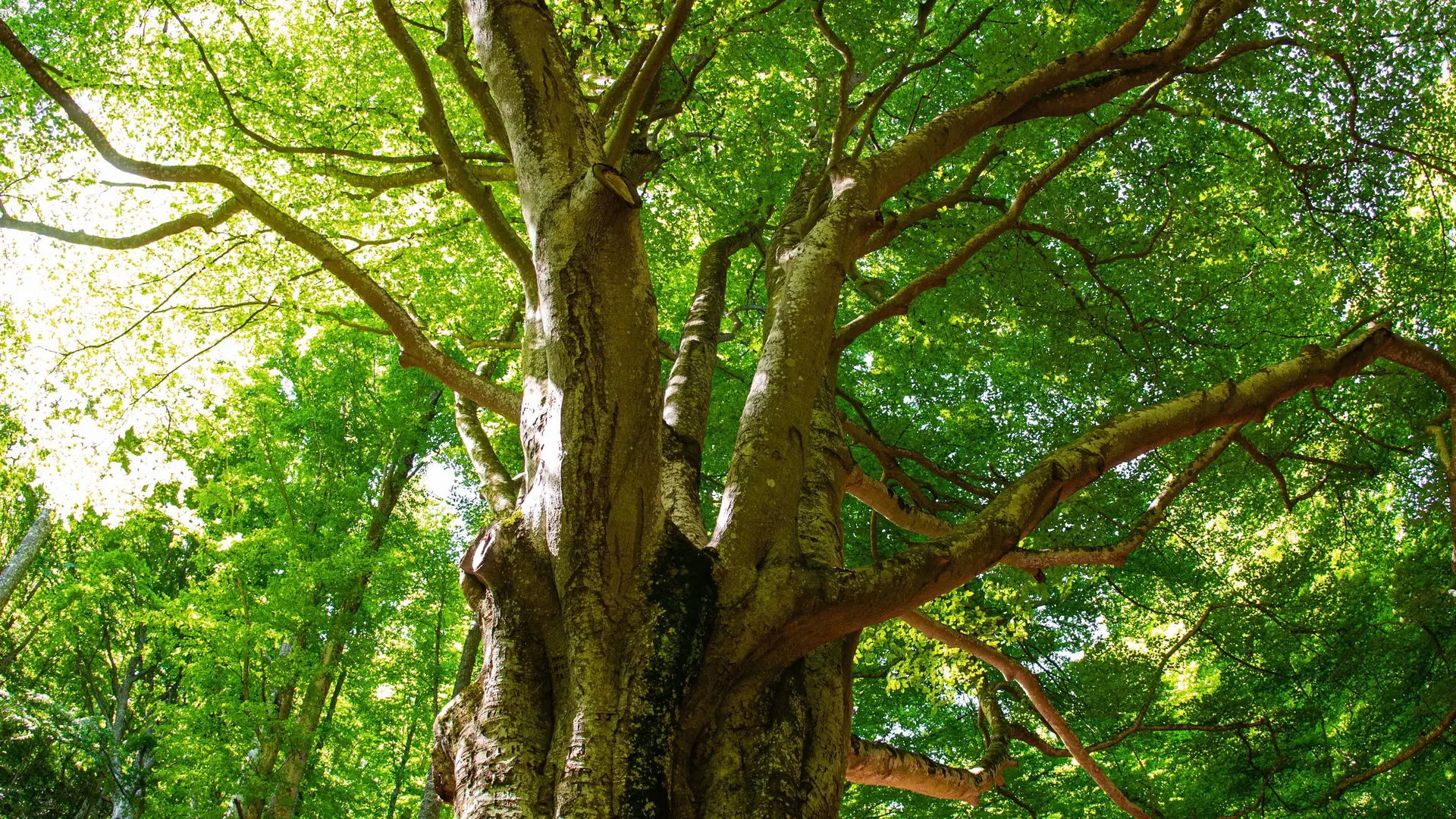 Reportage CC Agly Fenouillèdes 2019