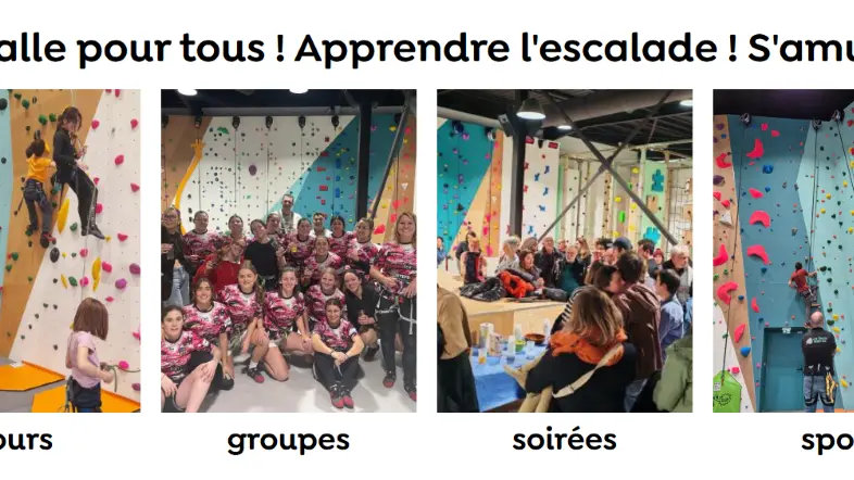 Les chats perchés 2