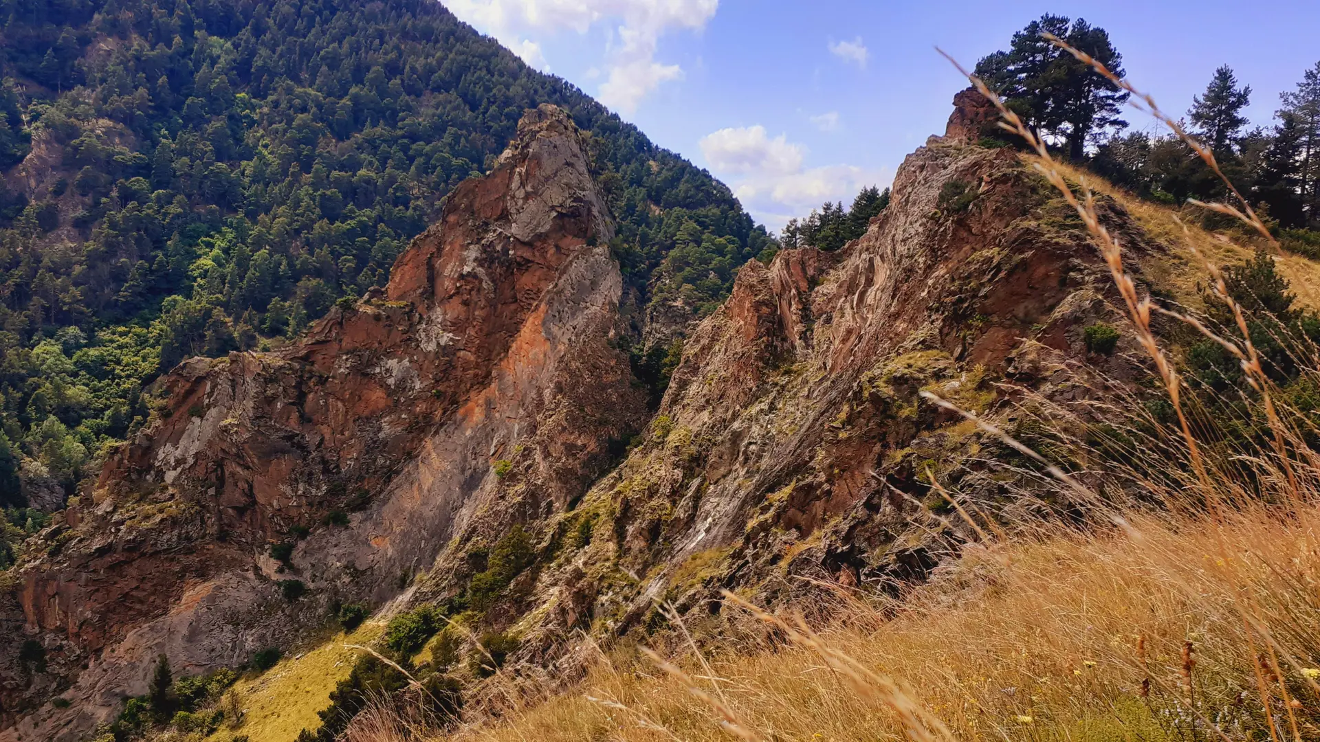 Les gorges du Sègre