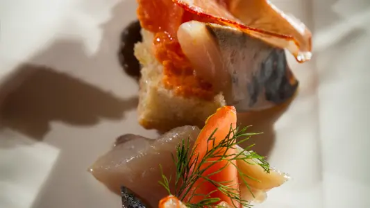 Les-jardins-du-cedre-Port-Vendres-17