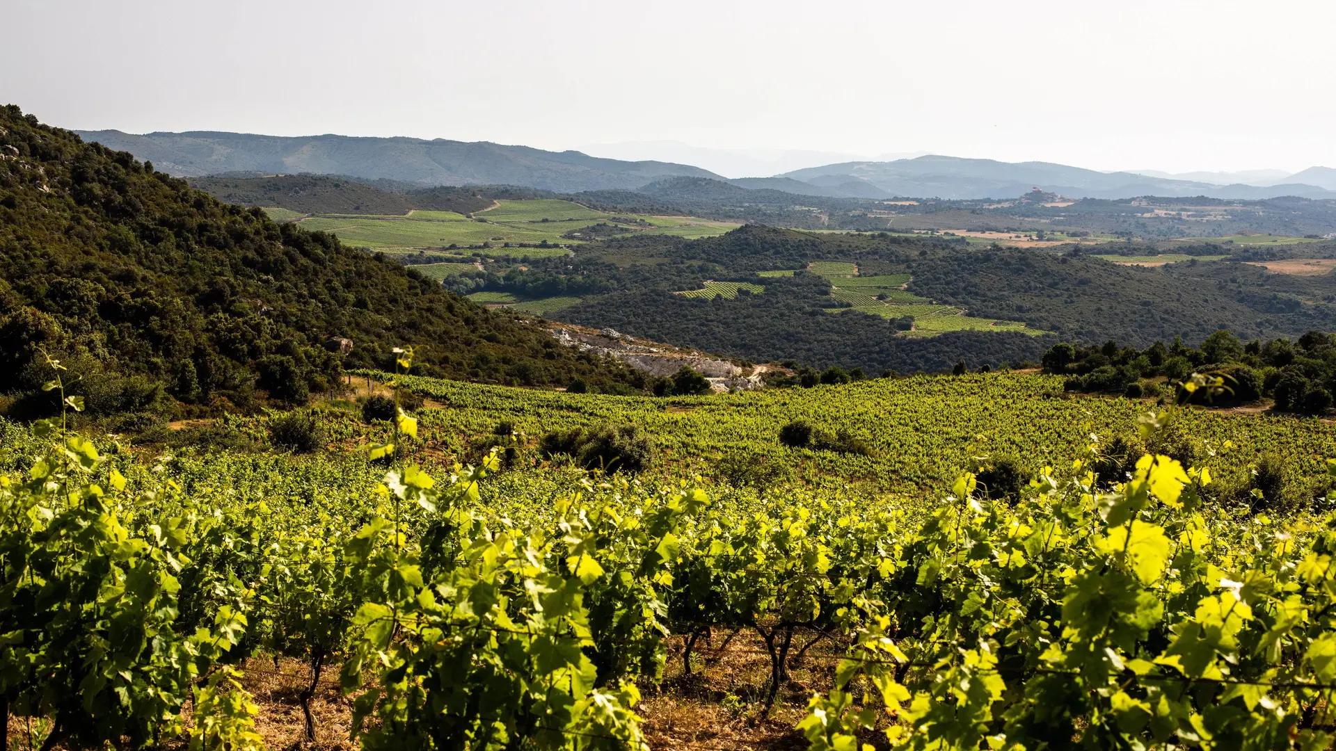 Lindependantjuillet2019Paysage-MasLlossanes