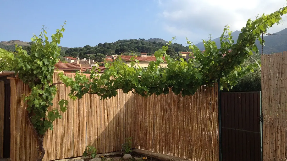 Location -TERRIAU-Villa-le-Mas-Ardo-collioure-5