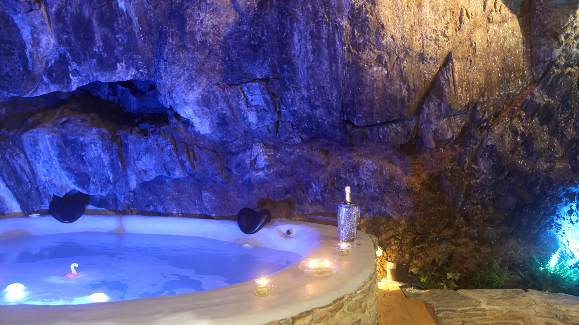 Location-jouaux-ginkgo-colioure-3