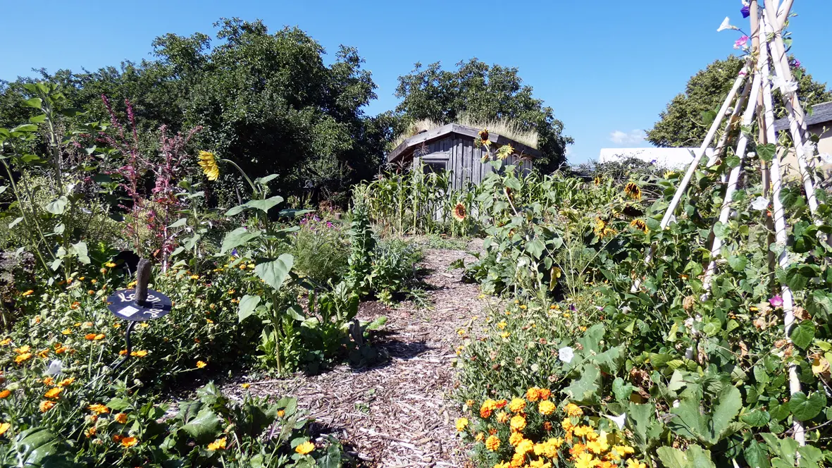 MDC 2021 Jardin vue cabanon web