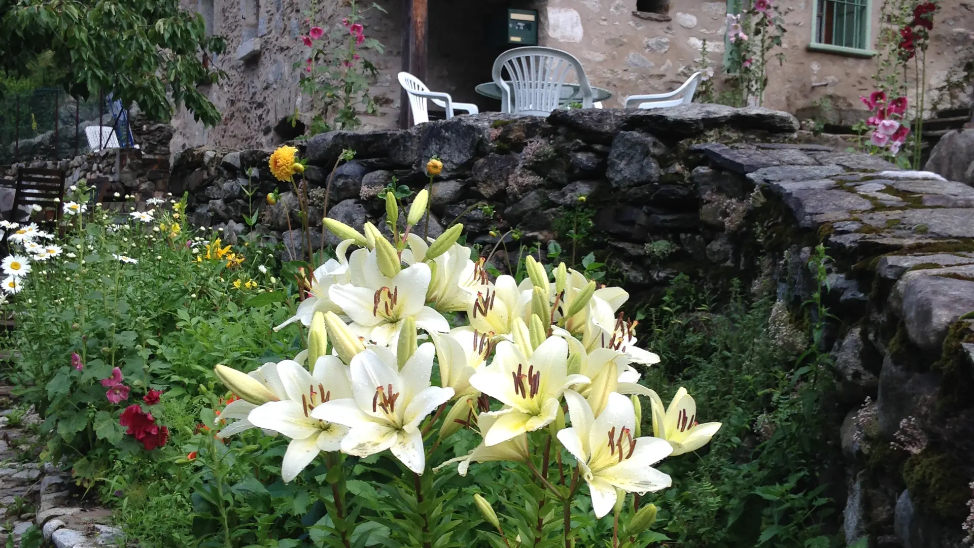 MOTTE MICHELLE 2022 -T2 (1)