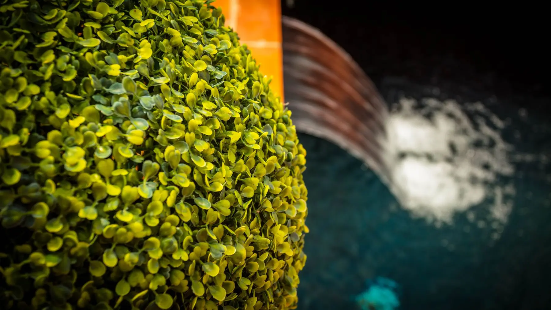 Mas Latour Lavail-Perpignan_16