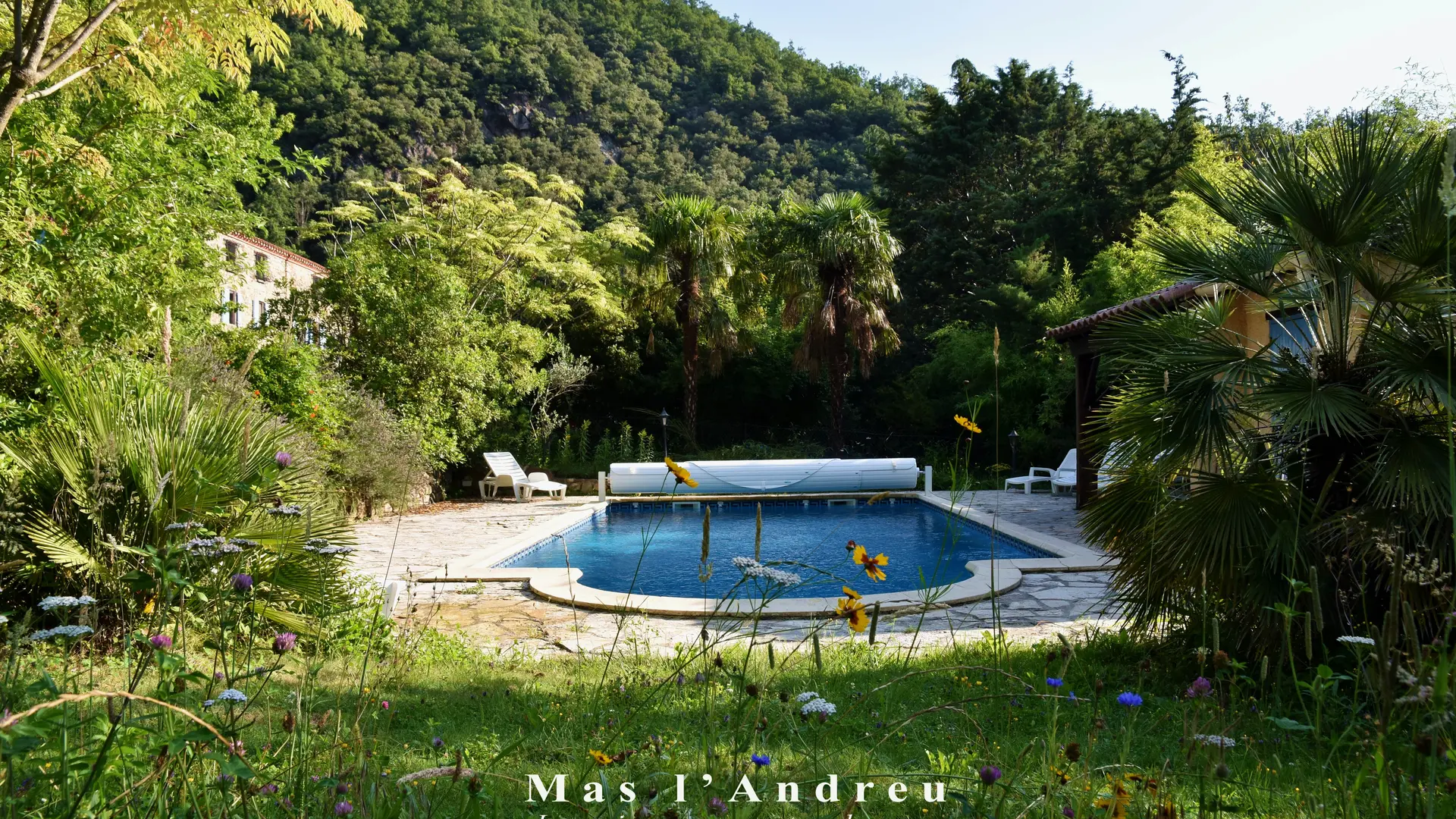 Mas l'Andreu - Dans le jardin - Piscine 07 copie