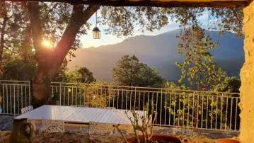 Mas seuls au monde brochure