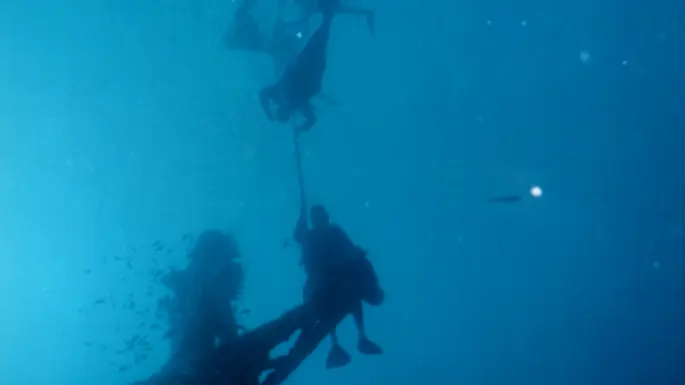 CENTRE DE PLONGEE LE POULPE