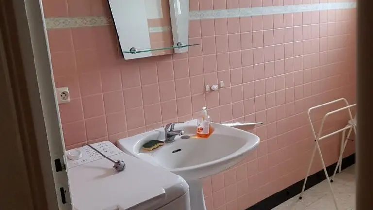 Michèle Comemale (7)