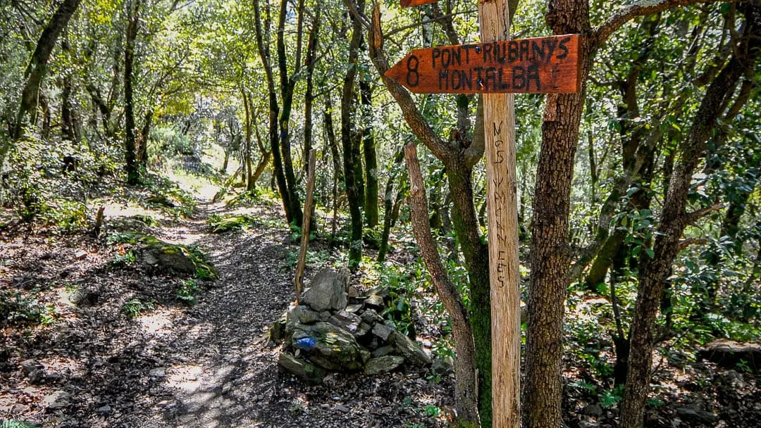 Amélie-les-Bains - Montalba via le Drapeau