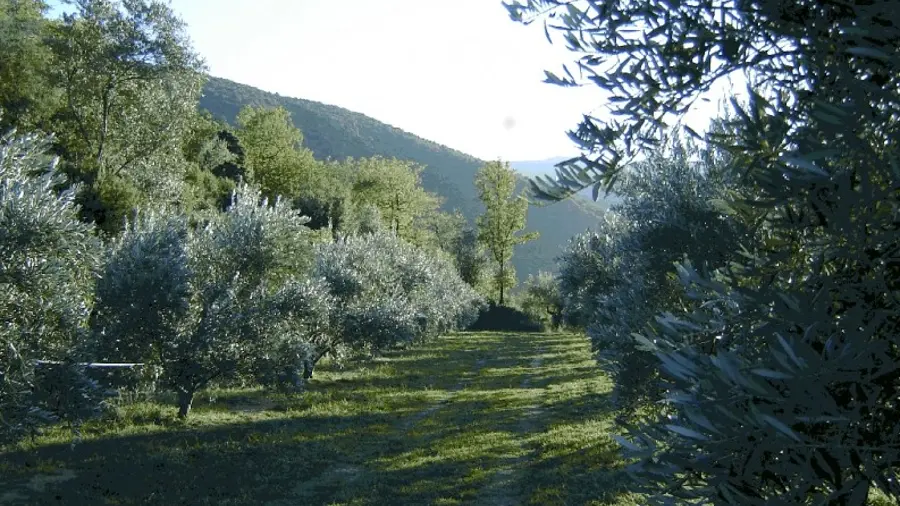 Moulin des Auxelles 1