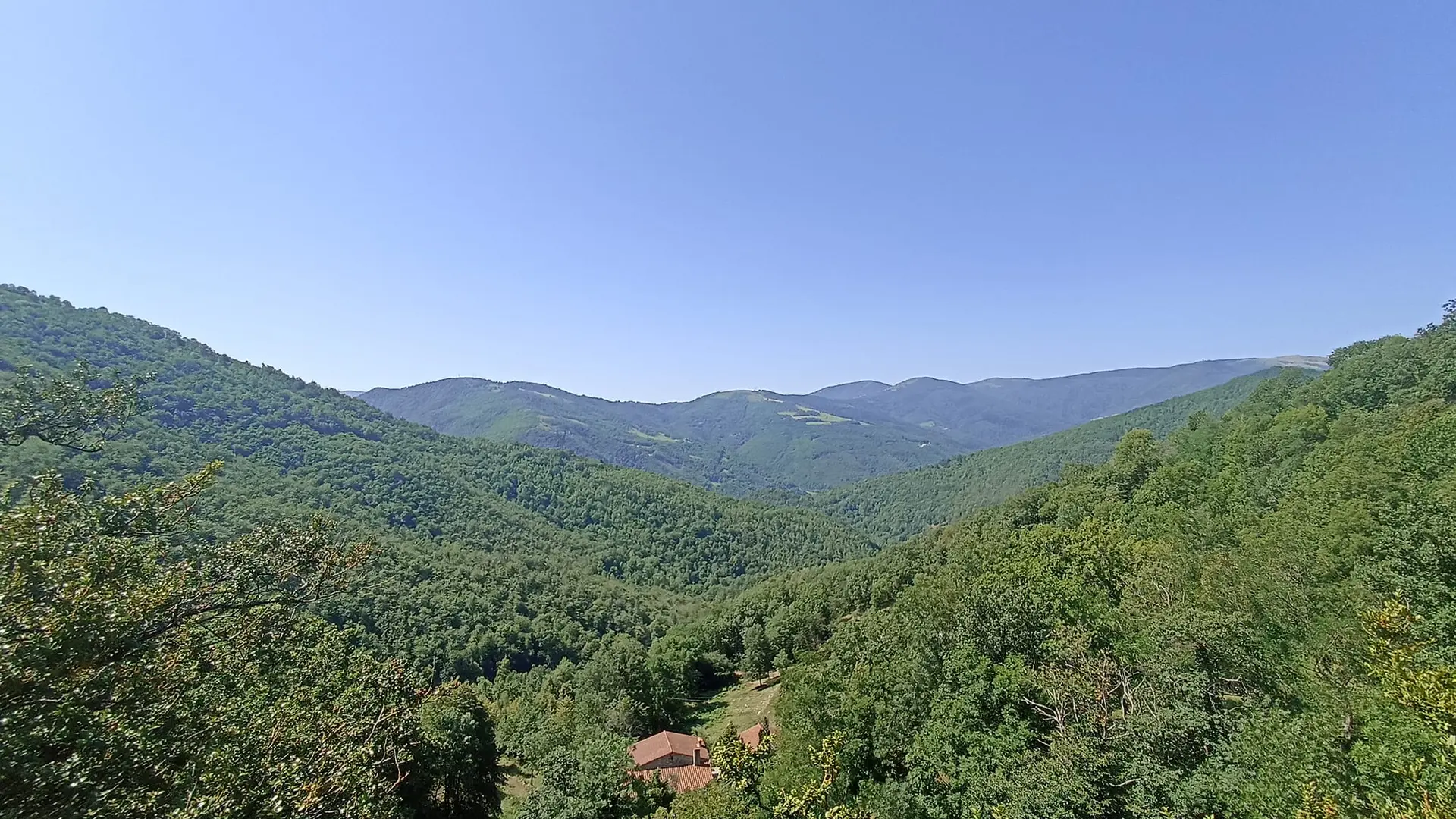 N° 1Photo principale