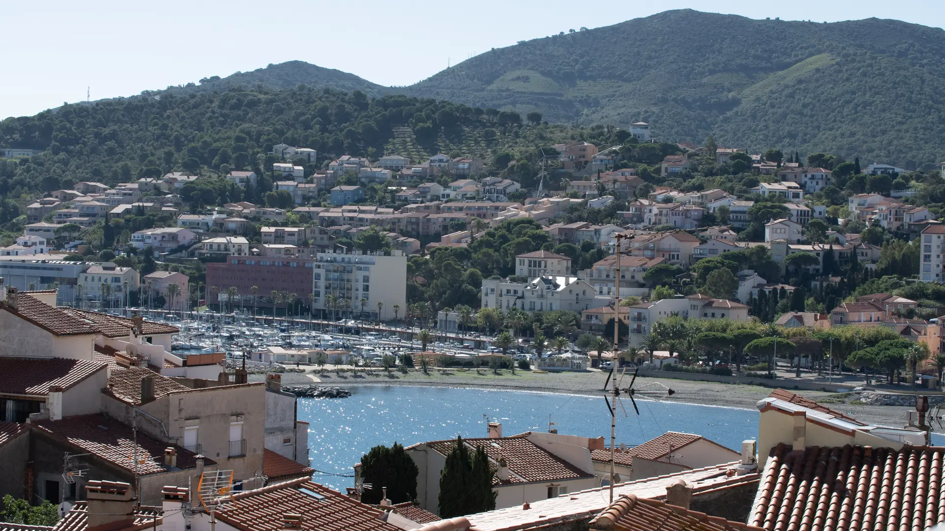 NIKOLLA T4 RICHELIEU (2)