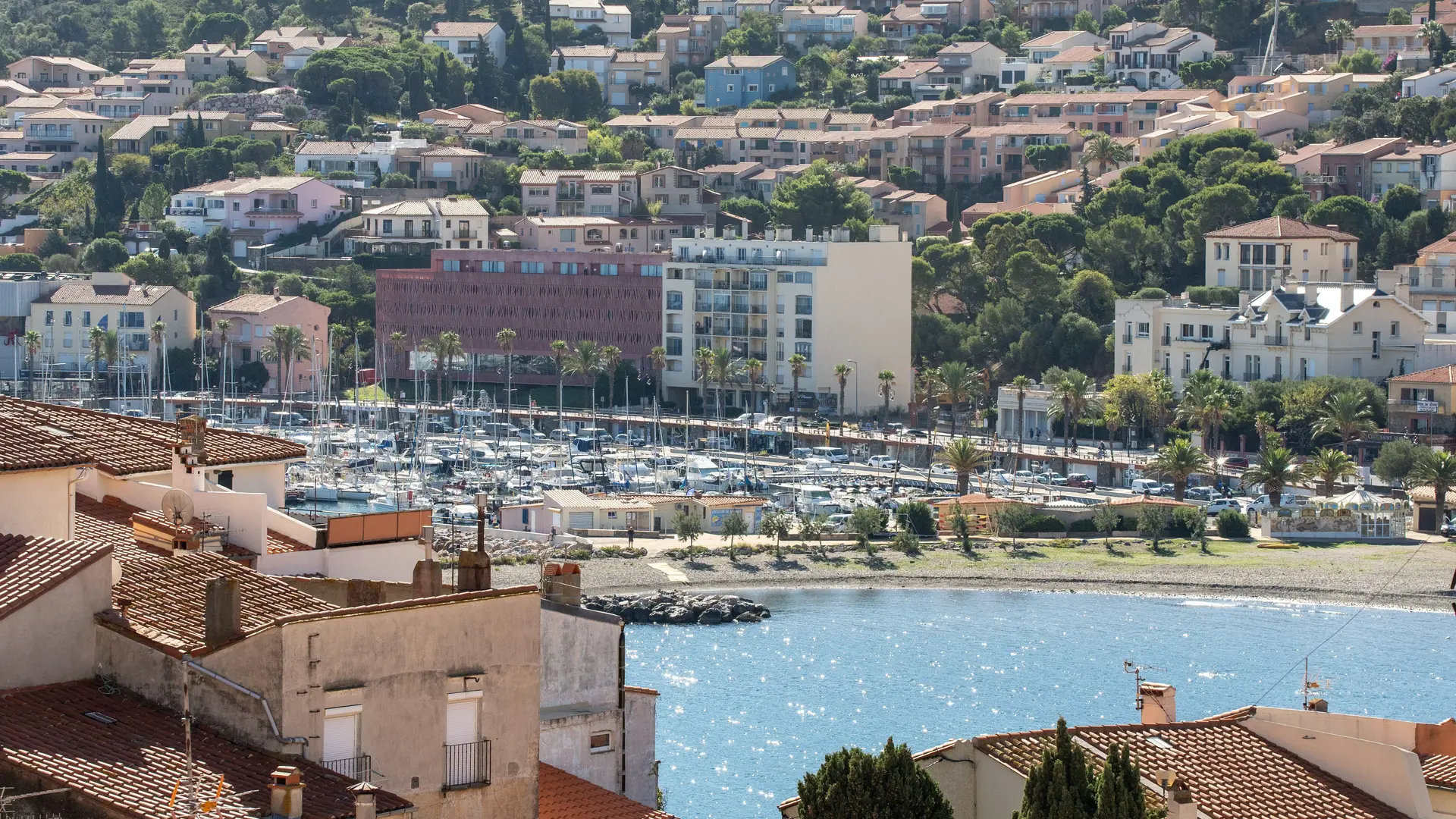 NIKOLLA T4 RICHELIEU (3)