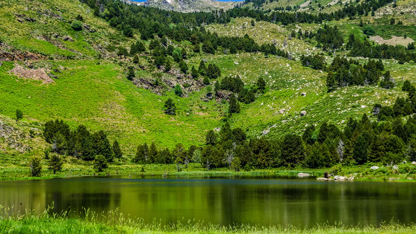 Nohèdes - estany del clot  (36)