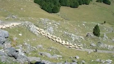 PARC NATUREL REGIONAL DES PYRENEES CATALANES