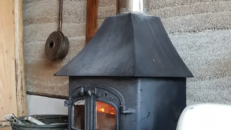 Nid d'amour en forêt