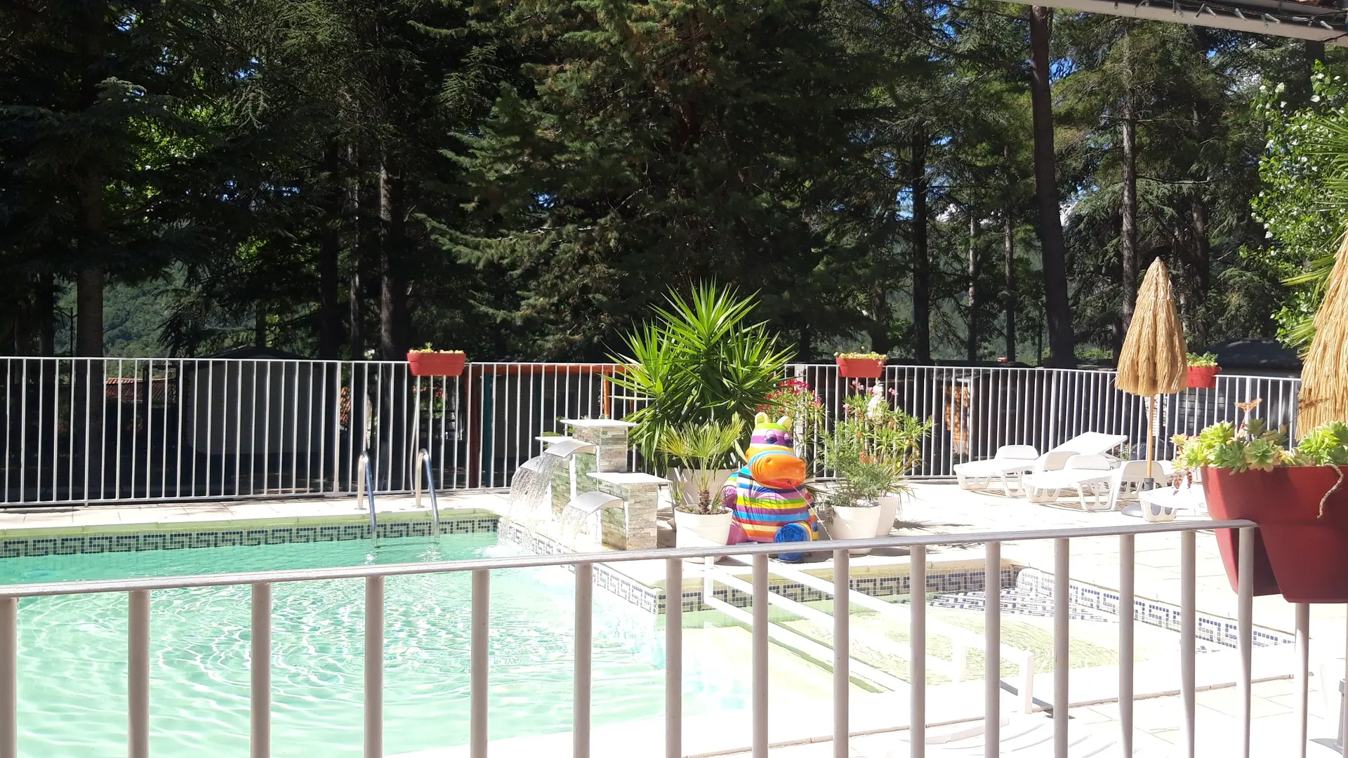 PISCINE - camping la source - sournia - Sandrine DELACOURT