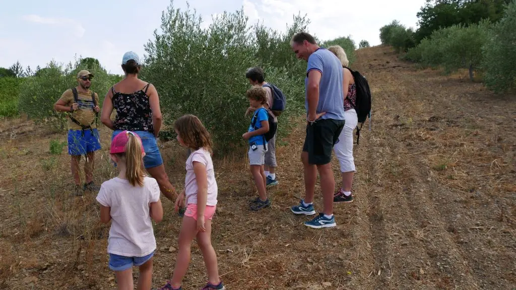 PONS GRALET BALADE 3