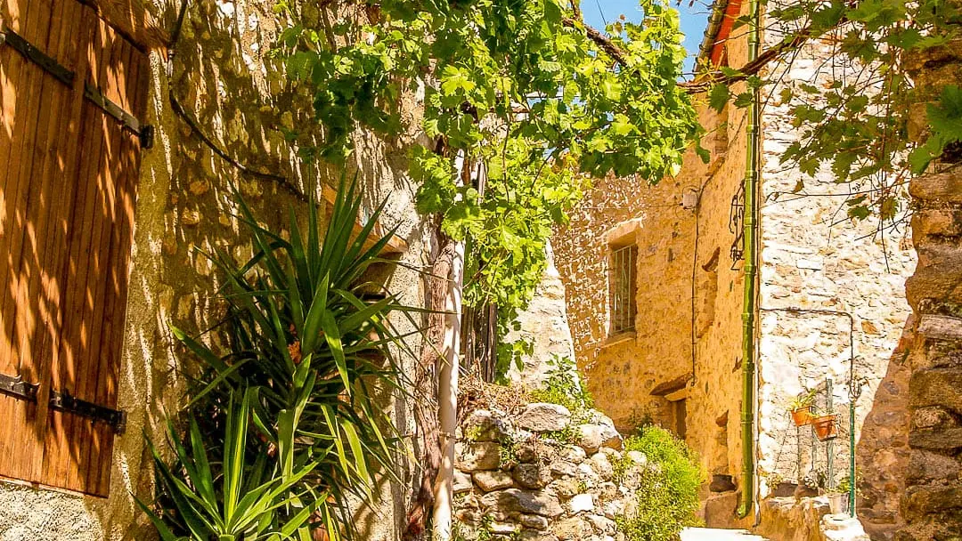 Palalda Arles sur Tech